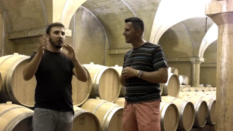 Ecco la Verità su SpinWinera: Funziona il Bono di Benvenuto?